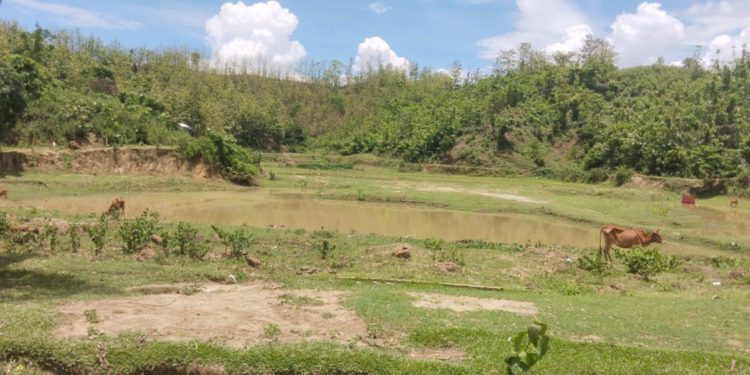 বান্দরবানে ৮ বছরেও জমি অধিগ্রহণ হয়নি,পলিটেকনিক প্রকল্প বাতিলের শঙ্কা