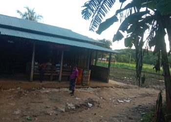 আদালতে মিথ্যা মামলা দিয়ে হয়রানির অভিযোগ