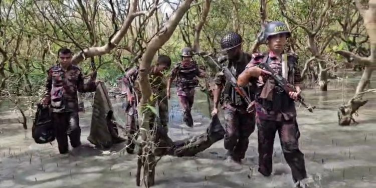 টেকনাফে বিপুল অস্ত্র ও গোলাবারুদ জব্দ করলো বিজিবি