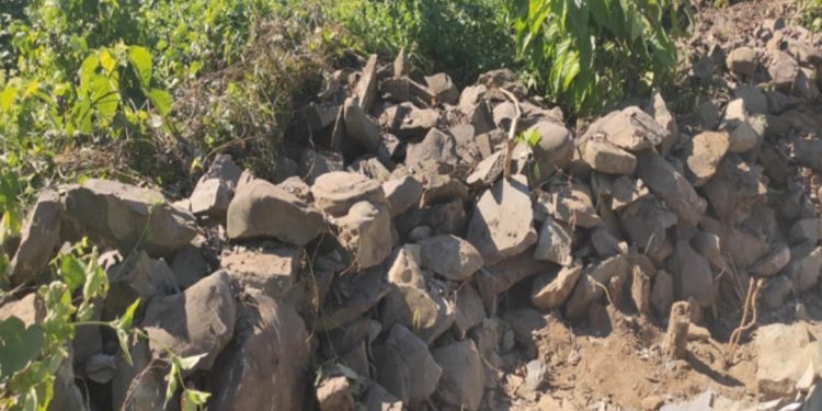 রোয়াংছড়িতে ১৬ হাজার ঘনফুট পাথর নিলামে বিক্রি