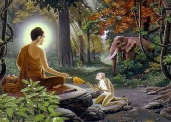 শুভ মধু পূর্ণিমা আজ