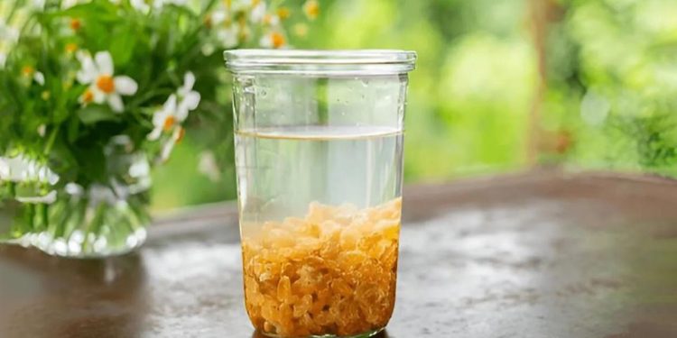 সকালে কিশমিশ ভেজানো পানি কেন খাবেন