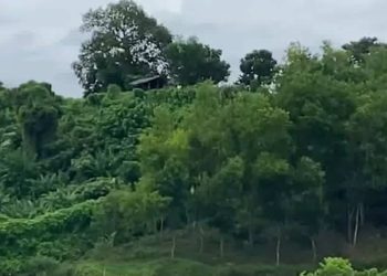 নাইক্ষ্যংছড়ি সীমান্তে ব্যাপক গোলাগুলি, আতঙ্কে স্থানীয়রা
