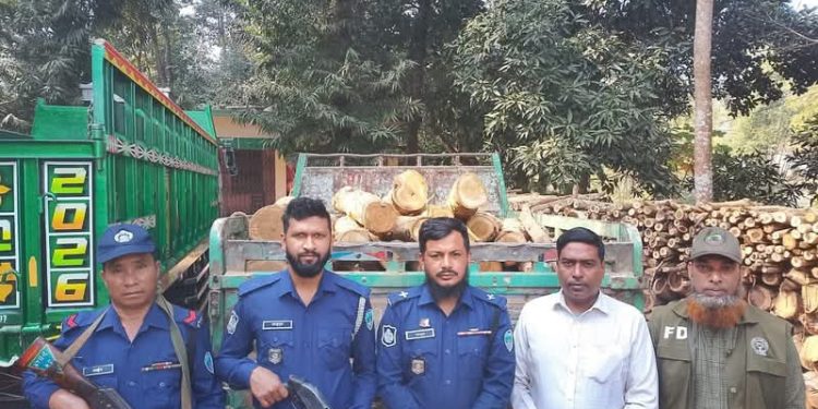 লামায় অবৈধ সেগুন কাঠসহ পিকআপ জব্দ