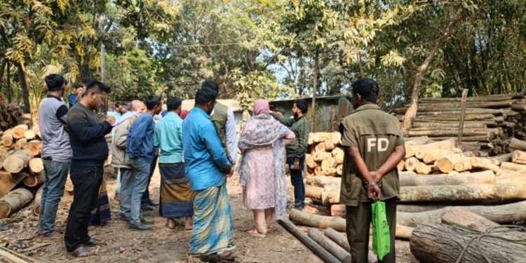 নাইক্ষ্যংছড়িতে অবৈধ করাতকলে অভিযান ও জরিমানা