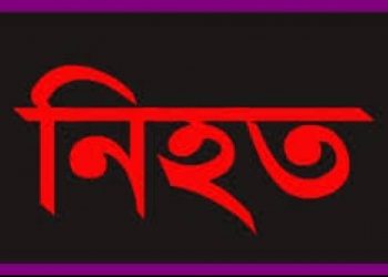 লামায় ফাঁসিয়াখালীতে বন্য হাতির আক্রমণে একজন নিহত