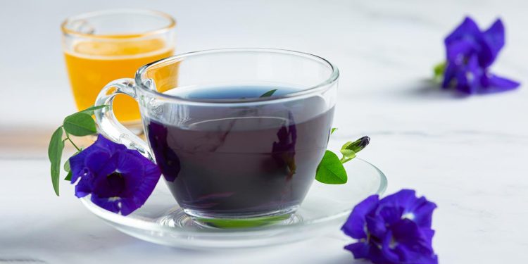 অপরাজিতা চা খেলে কী হয়?