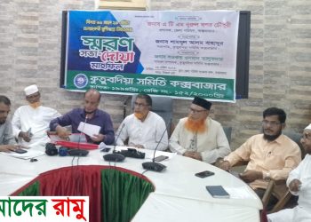 কুতুবদিয়া সুরক্ষায় বেড়িবাঁধ ও সেতুর দাবি