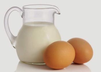দুধ না কি ডিম, কোনটিতে বেশি প্রোটিন থাকে?