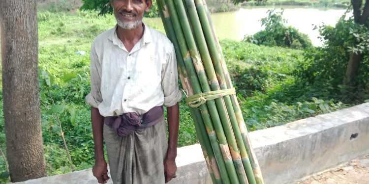 বাঁশ শ্রমিক আব্বাস উদ্দীনের জীবন সংগ্রামের গল্প