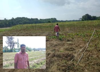 বমু বিলছড়িতে বন্যায় কৃষক আজিজ এর সবজি ক্ষেত নষ্ট, আড়াই লাখ টাকার ক্ষতি