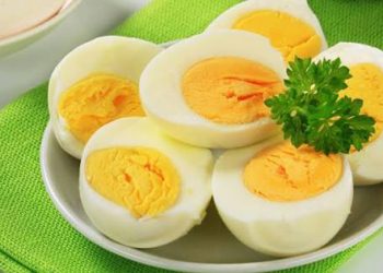 ডিম খেতে ভালোবাসেন?