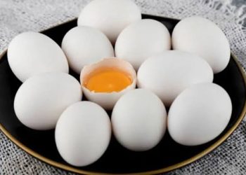 গর্ভাবস্থায় ডিম খাওয়া কি নিরাপদ?