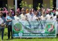 রামুতে বাপা’র উদ্যোগে বৃক্ষরোপণ ও শিক্ষার্থীদের চারা বিতরণ