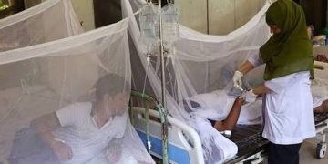 ডেঙ্গুতে আরও ৭ জনের মৃত্যু, আক্রান্ত ১৫৯৩ জন