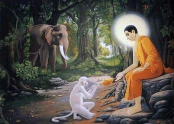 আজ শুভ মধু পূর্ণিমা