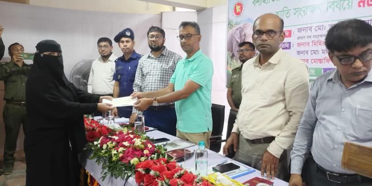 লামায় বন্যহাতির আক্রমণে ক্ষতিগ্রস্তদের মাঝে চেক বিতরণ
