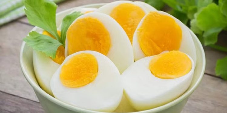 ডিম প্রতিদিন খাওয়া কি নিরাপদ?